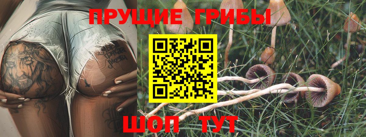 Псилоцибиновые грибы мухоморы Нурлат