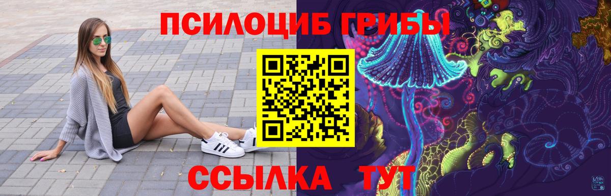 купить наркотики сайты  Псилоцибиновые грибы мухоморы  Псилоцибиновые грибы GOLDEN TEACHER  Вход с VPN  Нурлат 